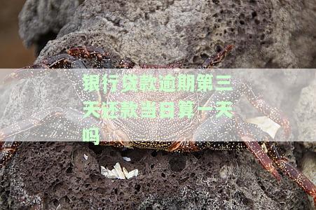 银行贷款逾期三天：信誉受损、处理方法及影响全面解析