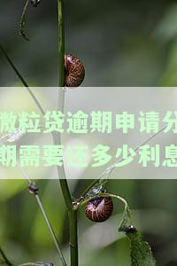 微粒贷逾期申请分期需还多少利息？逾期后如何处理？
