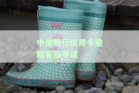 中信银行信用卡逾期客服电话号码查询及协商方式