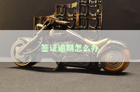 签证不小心逾期了：后果、处理方法及影响