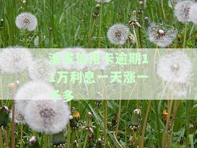 浦发信用卡逾期11万利息一天涨一千多吗，浦发信用卡逾期11万，利息每天上涨上千元？