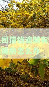 美团借钱逾期有短信威胁怎么办-美团借钱逾期有短信威胁怎么办呢