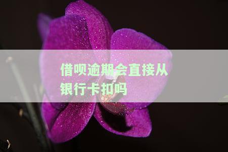 借呗逾期之后还会不会直接从银行卡里扣钱，借呗逾期后是否会自动扣除银行卡里的钱？