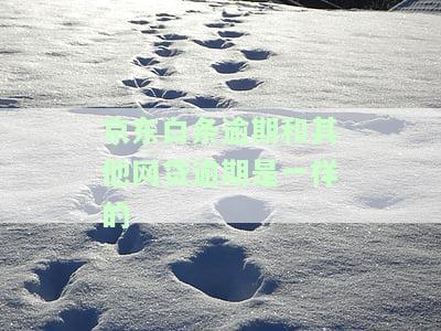 逾期会否影响征信？我爱卡论坛探讨后果与影响