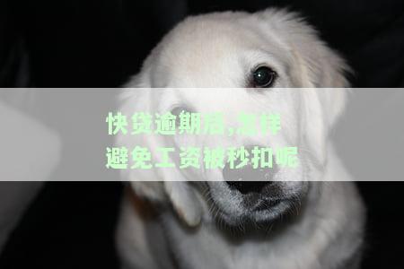 快贷逾期后,怎样避免工资被秒扣呢-快贷逾期后,怎样避免工资被秒扣呢