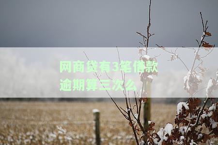 网商贷逾期一次的影响及解决办法：全款还款、影响房贷、额度恢复期限、逾期次数等解析