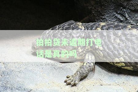 拍拍贷未逾期打电话是真的吗吗，揭秘真相：拍拍贷未逾期为何还会接到催款电话？