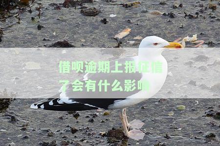 借呗逾期上传征信了，会取消借呗吗？影响贷款和信用卡使用吗？