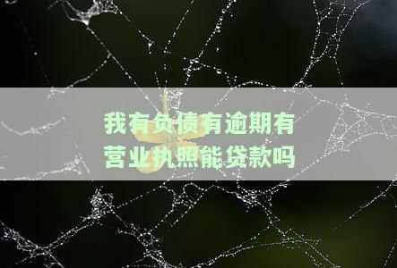 负债逾期是否可以办理营业执照？了解相关政策与影响