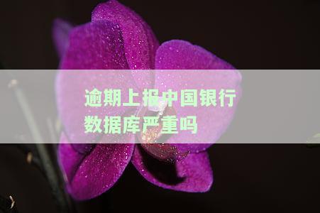 逾期信息报人民银行数据库会产生什么影响？会对个人信用产生负面影响，他人无法查看。