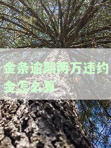 金条逾期两万违约金怎么算
