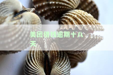 美团借钱逾期15天：后果、诉讼、征信及贷款影响全解析