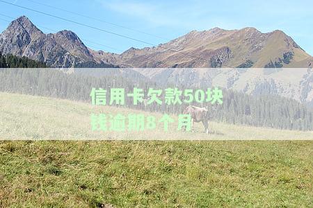 6张信用卡逾期8个月了，警示：6张信用卡已逾期8个月，需要立即处理！
