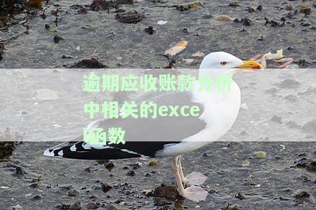 关于逾期应收账款分析中相关的excel函数，逾期应收账款分析：Excel函数的运用