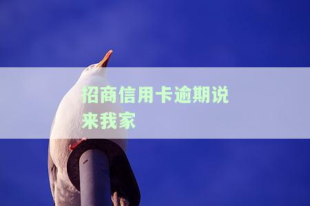 招商逾期说要抓我，警惕！招商逾期可能面临被抓风险