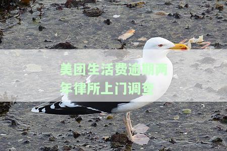 美团生活费逾期3天,业务人员短信通知上门走访，美团生活费逾期3天，业务人员将进行上门走访，请尽快还款