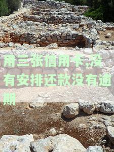 用三张信用卡,没有安排还款没有逾期-用三张信用卡,没有安排还款没有逾期会怎么样