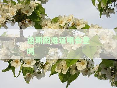 逾期给银行假的困难证明是否可行？会影响信用记录吗？