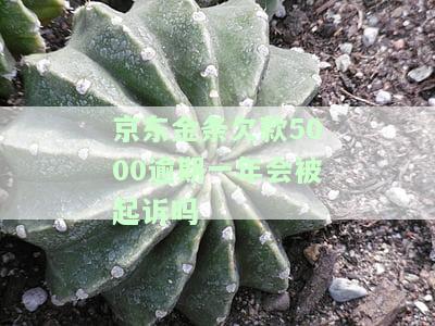京东金条5000逾期6个月未还，可能面临哪些后果？