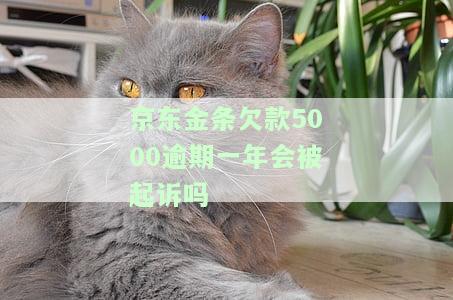 京东金条欠款5000逾期一年会被起诉吗-京东金条欠款5000逾期一年会被起诉吗知乎