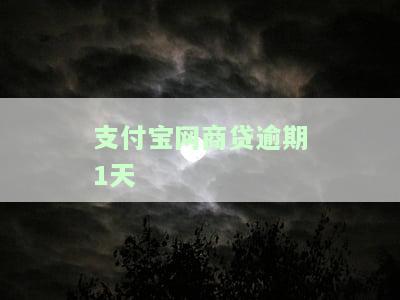 支付宝网商贷逾期1天会怎样，网商贷逾期一天会有何后果？支付宝给出了答案！