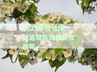 2023年疫情房贷逾期新政策解读最新消息，2023年疫情下房贷逾期新政策解读与最新消息