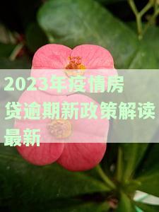 2023年疫情房贷逾期新政策解读最新，独家解析：2023年疫情下房贷逾期新政，你需要了解的最新信息