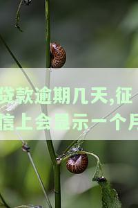 贷款逾期几天,征信上会显示一个月的征信吗，逾期几天会上征信？答案在这里！