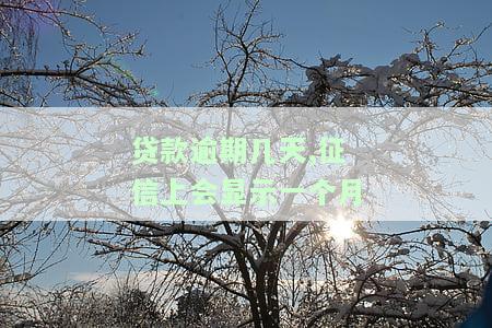贷款逾期后，征信报告多久能显示？多久会上报至央行？逾期记录多久消除？可否申请撤销？多久能恢复正常？