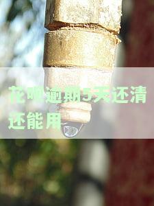 花呗逾期5天还清后能否继续使用？解决方案及影响解析