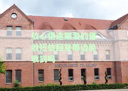 放心借逾期发的催收短信回复真的有效吗？会进行上门催收吗？催收力度如何？