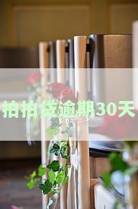 拍拍贷逾期30天怎么办，拍拍贷逾期30天处理方法全攻略