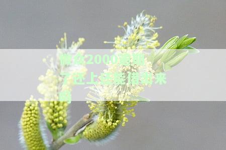 微众2000逾期后还款，能否再借？安全可靠吗？逾期影响及解决方法