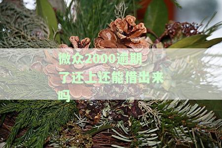 微众2000逾期了还上还能借出来吗，微众2000逾期后还款，能否再次借款？