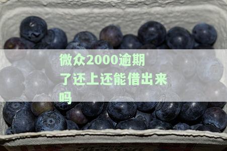 微众2000贷款逾期了怎么办，如何处理微众2000贷款逾期问题？