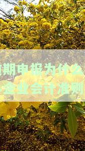 小企业会计准则未按期进行资料报送的含义及责任