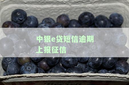 中银e贷短信逾期是否上报征信？影响及安全性解析