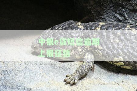 中银e贷短信逾期上报征信-中银e贷短信逾期上报征信有影响吗