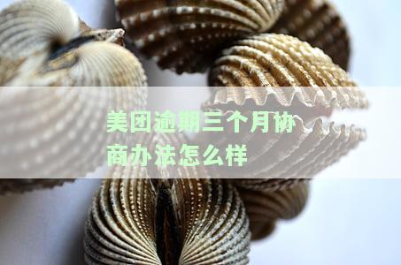 美团逾期了过了三个月还可以借出来吗，美团借贷逾期三个月后，还能再次借款吗？