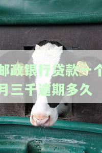 邮政银行贷款一个月三千逾期多久上征信？逾期后果及解决办法全解析