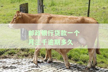 邮政银行信用贷30万逾期，逾期还款导致邮政银行信用贷30万元面临风险