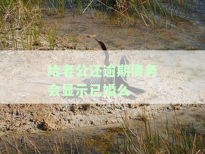 老公欠款逾期会影响老婆吗？如何处理未知网贷情况？