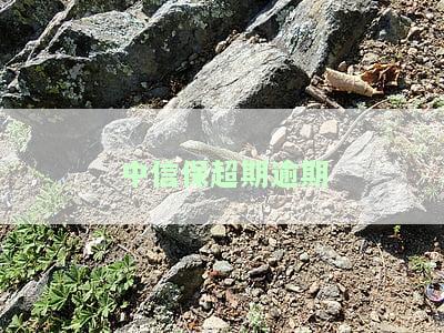 中信保信用期限：概念、90天/30天含义及填写注意事