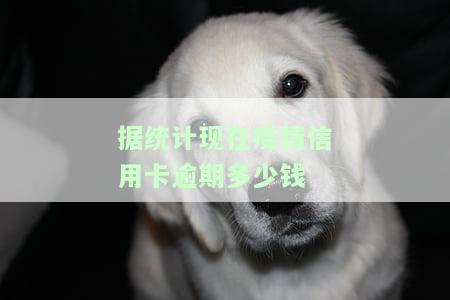 2020年疫情信用卡逾期新规定：逾期处理方式调整
