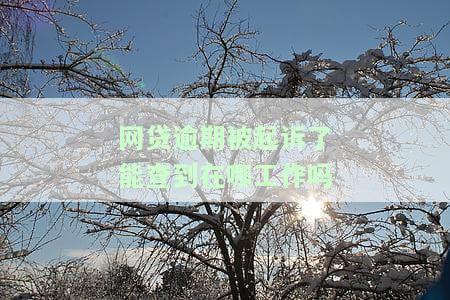 网贷逾期被起诉了怎么查询，如何查询网贷逾期被起诉的情况？