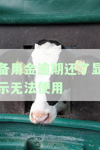 备用金逾期还了显示无法使用-备用金逾期还了显示无法使用怎么办