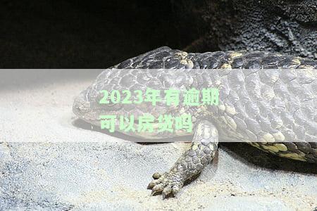 2023年有逾期可以房贷吗，2023年是否存在逾期仍可申请房贷的情况？