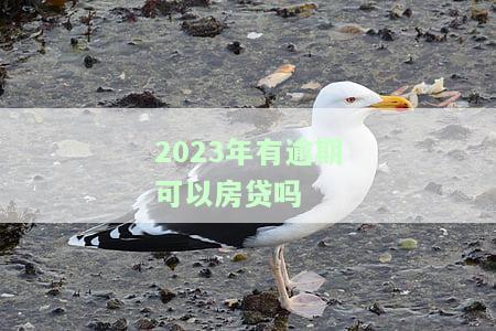 2023年有逾期可以房贷吗怎么还，2023年逾期还款影响房贷申请？如何解决并按时偿还？