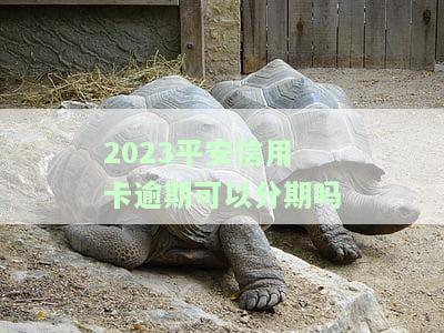 2023平安信用卡逾期能否分期？了解最新法规与处理方式