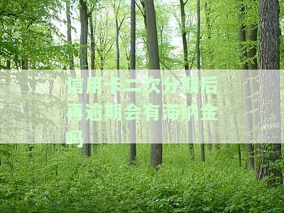 二次分期又逾期怎么办，如何应对二次分期逾期问题？